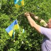 Дзвіночки як голоси: в Саф'янівській громаді вшанували пам'ять маленьких янголяток 5