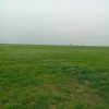 Продаж права оренди на земельну ділянку несільськогосподарського призначення комунальної власності загальною площею 2,0000 га з кадастровим номером: 5122086900:01:001:1499, цільове призначення: 12.11 «Для розміщення та експлуатації об’єктів дорожнього сервісу», вид використання: для розміщення та експлуатації об’єктів дорожнього сервісу, яка розташована за адресою: Одеська область, Ізмаїльський район, Саф’янівська сільська рада, (за межами с. Утконосівка) 5