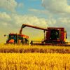 Вимоги безпеки під час збирання врожаю зернових культур 3