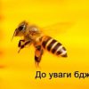 До уваги бджолярів! 18 До уваги бджолярів! 17