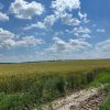 Продаж права оренди земельної ділянки сільськогосподарського призначення комунальної власності загальною площею 9,4456 га з кадастровим номером: 5122080400:01:001:1050, вид цільового призначення: 01.01 «Для ведення товарного сільськогосподарського виробництва», яка розташована на території Саф’янівської сільської ради Ізмаїльського району Одеської області (за межами населеного пункту с. Багате). 6 Продаж права оренди земельної ділянки сільськогосподарського призначення комунальної власності загальною площею 9,4456 га з кадастровим номером: 5122080400:01:001:1050, вид цільового призначення: 01.01 «Для ведення товарного сільськогосподарського виробництва», яка розташована на території Саф’янівської сільської ради Ізмаїльського району Одеської області (за межами населеного пункту с. Багате). 5