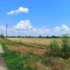 Продаж права оренди земельної ділянки сільськогосподарського призначення комунальної власності загальною площею 10,0000 га з кадастровим номером: 5122080400:01:002:1239, вид цільового призначення: 01.01 «Для ведення товарного сільськогосподарського виробництва», яка розташована на території Саф’янівської сільської ради Ізмаїльського району Одеської області (за межами населеного пункту с. Багате). 6 Продаж права оренди земельної ділянки сільськогосподарського призначення комунальної власності загальною площею 10,0000 га з кадастровим номером: 5122080400:01:002:1239, вид цільового призначення: 01.01 «Для ведення товарного сільськогосподарського виробництва», яка розташована на території Саф’янівської сільської ради Ізмаїльського району Одеської області (за межами населеного пункту с. Багате). 5
