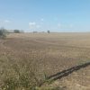 Продаж права оренди земельної ділянки сільськогосподарського призначення комунальної власності загальною площею 2,8565 га з кадастровим номером 5122084200:01:001:0131, цільове призначення: 01.01 «Для ведення товарного сільськогосподарського виробництва», вид використання: для ведення товарного сільськогосподарського виробництва, яка розташована на території Саф’янівської сільської ради Ізмаїльського району Одеської області (за межами с. Нова Некрасівка) 2 Продаж права оренди земельної ділянки сільськогосподарського призначення комунальної власності загальною площею 2,8565 га з кадастровим номером 5122084200:01:001:0131, цільове призначення: 01.01 «Для ведення товарного сільськогосподарського виробництва», вид використання: для ведення товарного сільськогосподарського виробництва, яка розташована на території Саф’янівської сільської ради Ізмаїльського району Одеської області (за межами с. Нова Некрасівка) 1