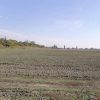 Продаж права оренди земельної ділянки сільськогосподарського призначення комунальної власності площею 4,1146 га, для ведення товарного сільськогосподарського виробництва, розташованої на території Саф’янівської сільської ради Ізмаїльського району Одеської області (за межами с. Кислиця) 2 Продаж права оренди земельної ділянки сільськогосподарського призначення комунальної власності площею 4,1146 га, для ведення товарного сільськогосподарського виробництва, розташованої на території Саф’янівської сільської ради Ізмаїльського району Одеської області (за межами с. Кислиця) 1