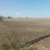 Продаж права оренди земельної ділянки сільськогосподарського призначення комунальної власності загальною площею 2,8565 га з кадастровим номером 5122084200:01:001:0131, цільове призначення: 01.01 «Для ведення товарного сільськогосподарського виробництва», вид використання: для ведення товарного сільськогосподарського виробництва, яка розташована на території Саф’янівської сільської ради Ізмаїльського району Одеської області (за межами с. Нова Некрасівка) 2 Продаж права оренди земельної ділянки сільськогосподарського призначення комунальної власності загальною площею 2,8565 га з кадастровим номером 5122084200:01:001:0131, цільове призначення: 01.01 «Для ведення товарного сільськогосподарського виробництва», вид використання: для ведення товарного сільськогосподарського виробництва, яка розташована на території Саф’янівської сільської ради Ізмаїльського району Одеської області (за межами с. Нова Некрасівка) 1